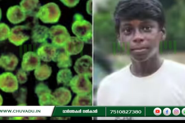 സംസ്ഥാനത്ത് വീണ്ടും അമീബിക് മസ്തിഷ്ക ജ്വരം ബാധിച്ച് മരണം