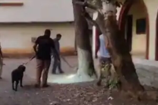 സ്കൂൾ വരാന്തയിൽ ടേപ്പ് ചുറ്റി പന്ത് പോലെ സാധനം; നോക്കിനിൽക്കെ പൊട്ടിത്തെറിച്ചു, വിദ്യാർഥിക്ക് പരിക്ക്