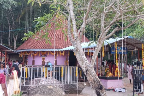 ചിതറ വാഴ്വേലിക്കോണം ശ്രീ ആയിരവല്ലി ശിവപാർവതി ക്ഷേത്രത്തിലെ ഉത്സവം ഒരു കൂട്ടം വനിതകളുടെ നേതൃത്വത്തിൽ
