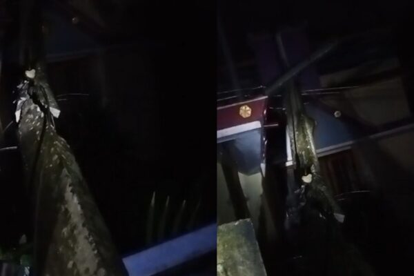ചിതറ പുതുശ്ശേരിയിൽ വീടിന് മുകളിലൂടെ ഇലക്ട്രിക് പോസ്റ്റ് ഒടിഞ്ഞു വീണു ; പല മേഖലകളിലും നാശനഷ്ടം റിപ്പോർട്ട് ചെയ്യുന്നു