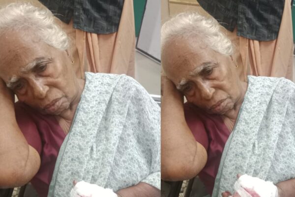 നിലമേലിൽ കാട്ടുപന്നി ആക്രമണത്തിൽ വയോധികക്ക് ഗുരുതരപരിക്ക്. വയോധികയുടെ ഒരു വിരൽ കാട്ടുപന്നി കടിച്ചു കൊണ്ടുപോയി.
